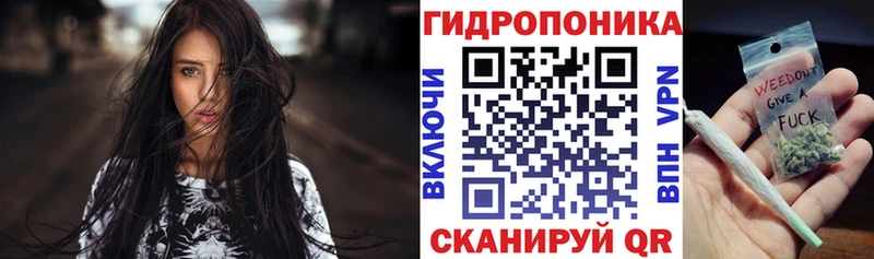 где найти наркотики  Верхнеуральск  Конопля сатива 